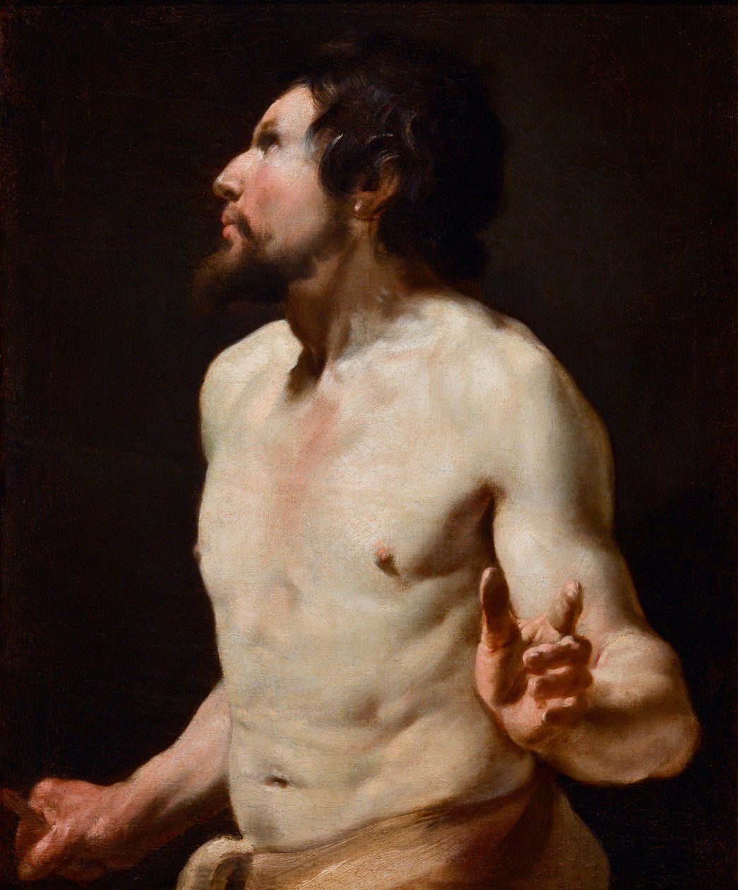 A torzófestészet tanulmánya Simon Vouet (1590-1649) iskolájából (festészet) alkotó: Simon (circle of) Vouet