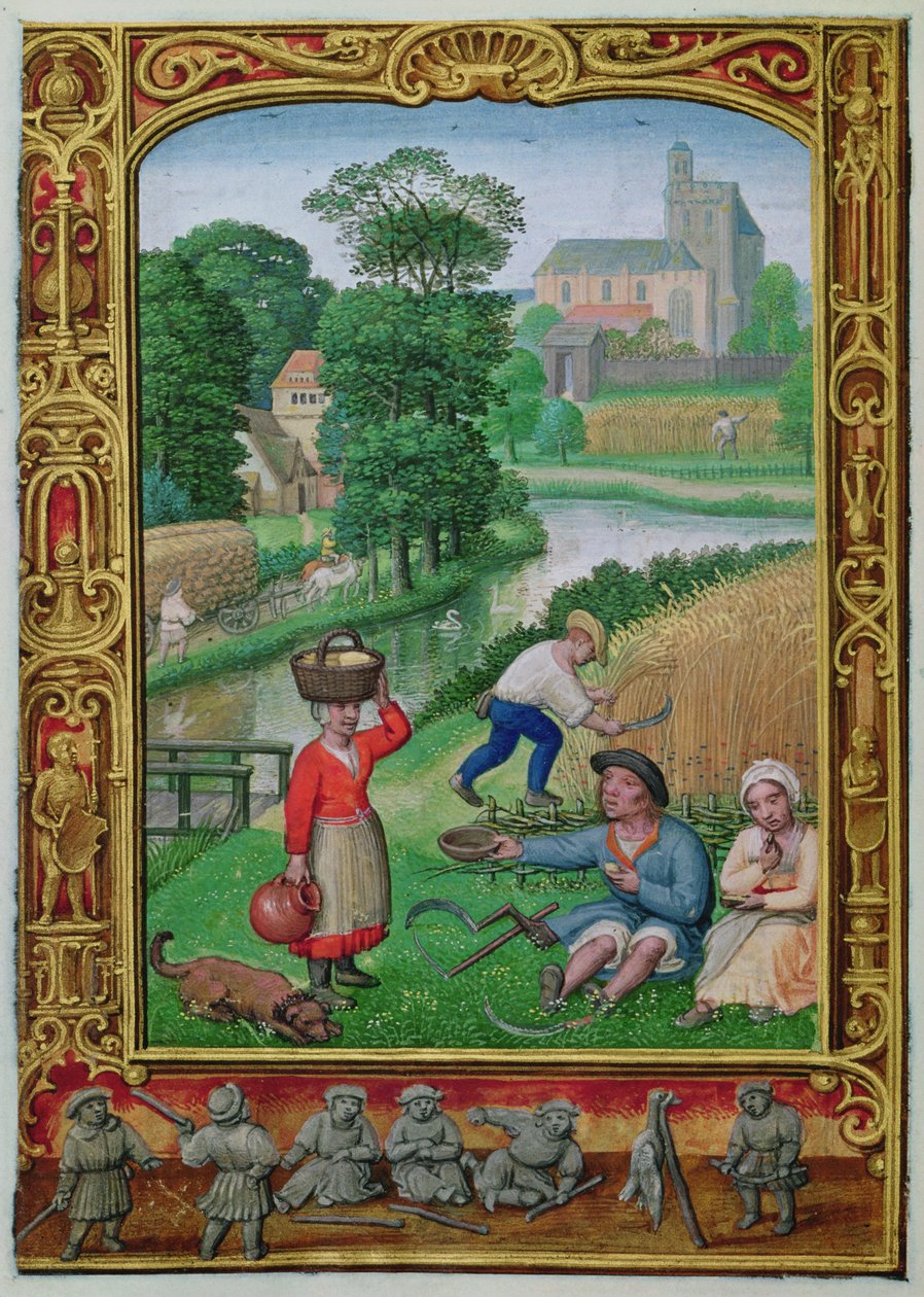 Add hozzá 24098 f.25v augusztus: Betakarítás folyó közelében, egy órakönyvből vagy a Golf Bookból, 1520-30 körül (vellum) alkotó: Simon (workshop of) Bening