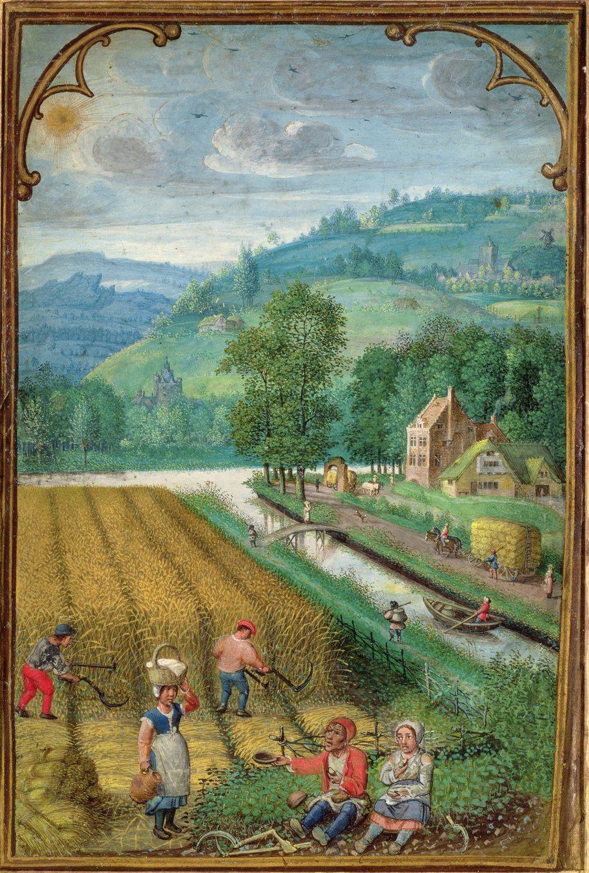 Add hozzá 18855 szeptember: aratás, szántás és vetés, egy órakönyvből, 1540 körül alkotó: Simon Bening