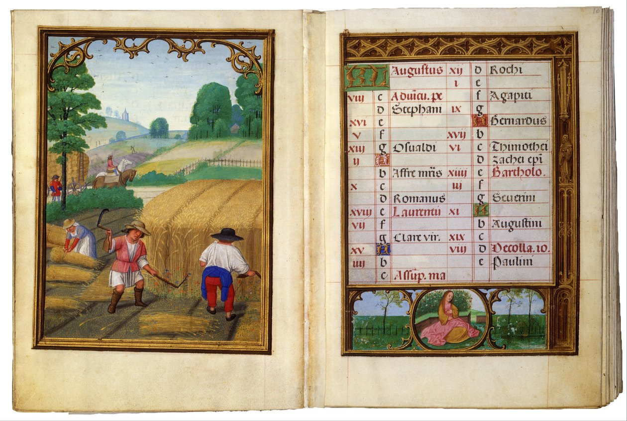 Augusztus - Búza mozgatása, kévék kötése alkotó: Simon Bening