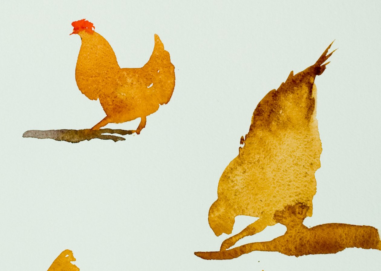 Csirkék, egy vakarózik, 2013 (akvarell) alkotó: Simon Fletcher