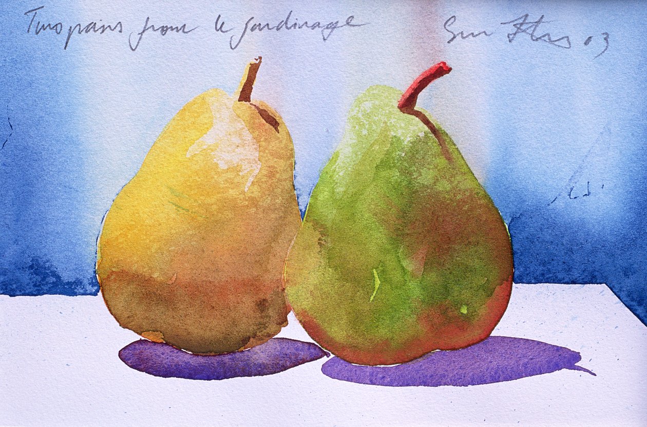 Két körte a kertből, 2003 (akvarell, papír) alkotó: Simon Fletcher