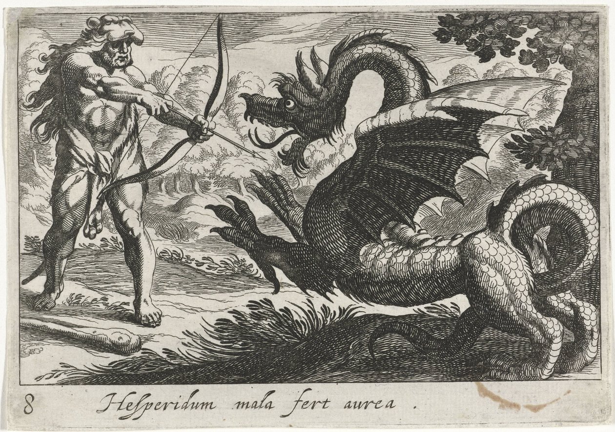 Herkules megöli Ladon sárkányt Hesperidum mala fert aurea (cím a tárgyon) Herkulesi témák (sorozat címe) alkotó: Simon Frisius