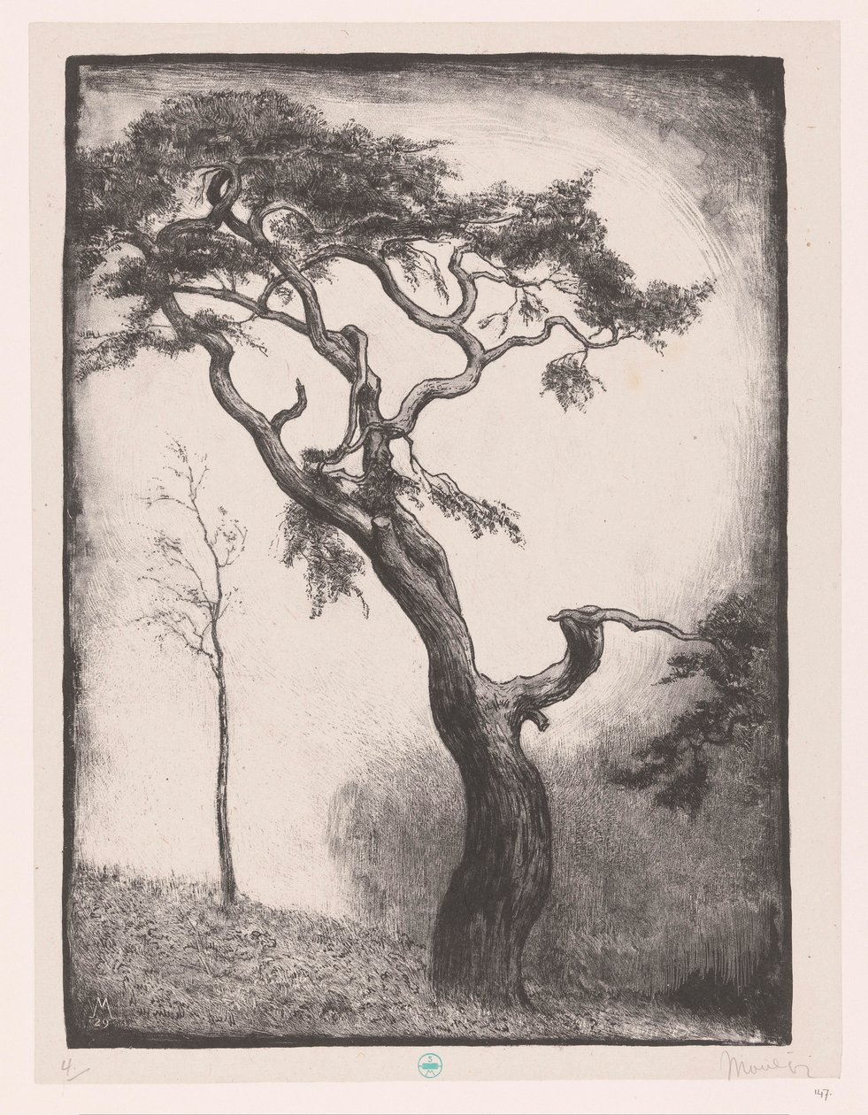 fenyőfa alkotó: Simon Moulijn (signed by artist)
