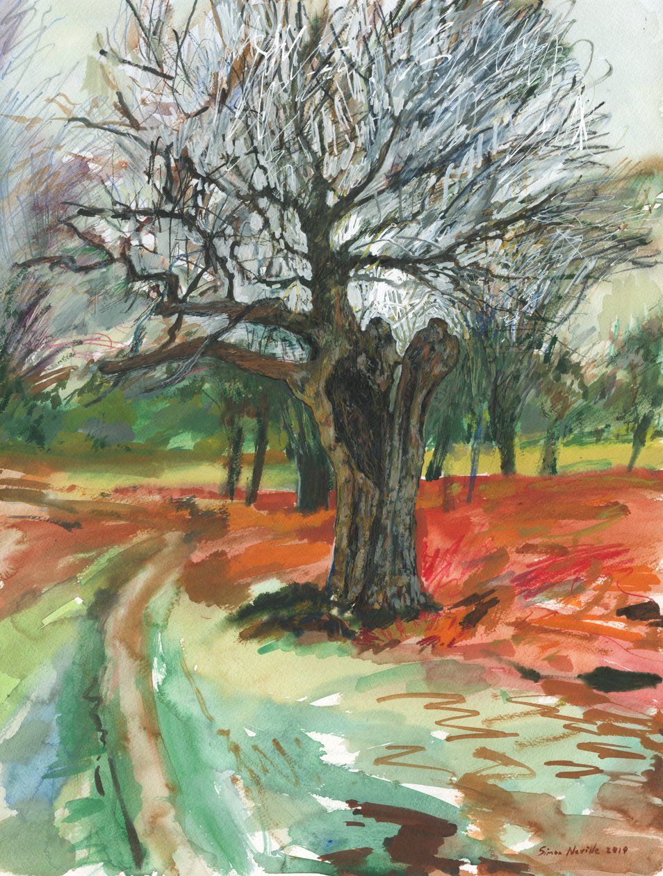 Öreg fa, Richmond Park, 2019 (akvarell ceruza és akrilfesték filctollal, papír) alkotó: Simon Neville