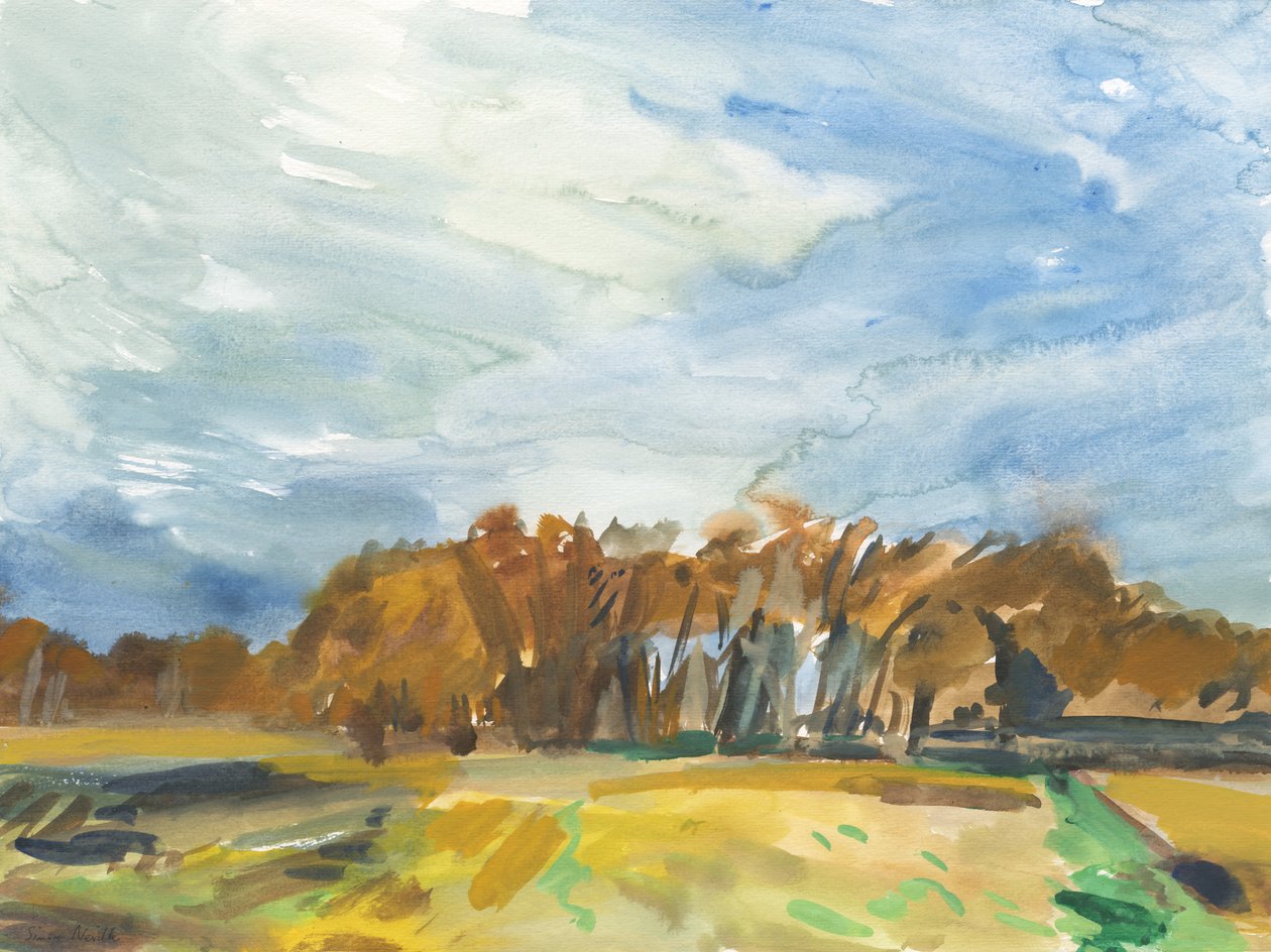 Richmond Park, 2018 (akvarell, papír) alkotó: Simon Neville