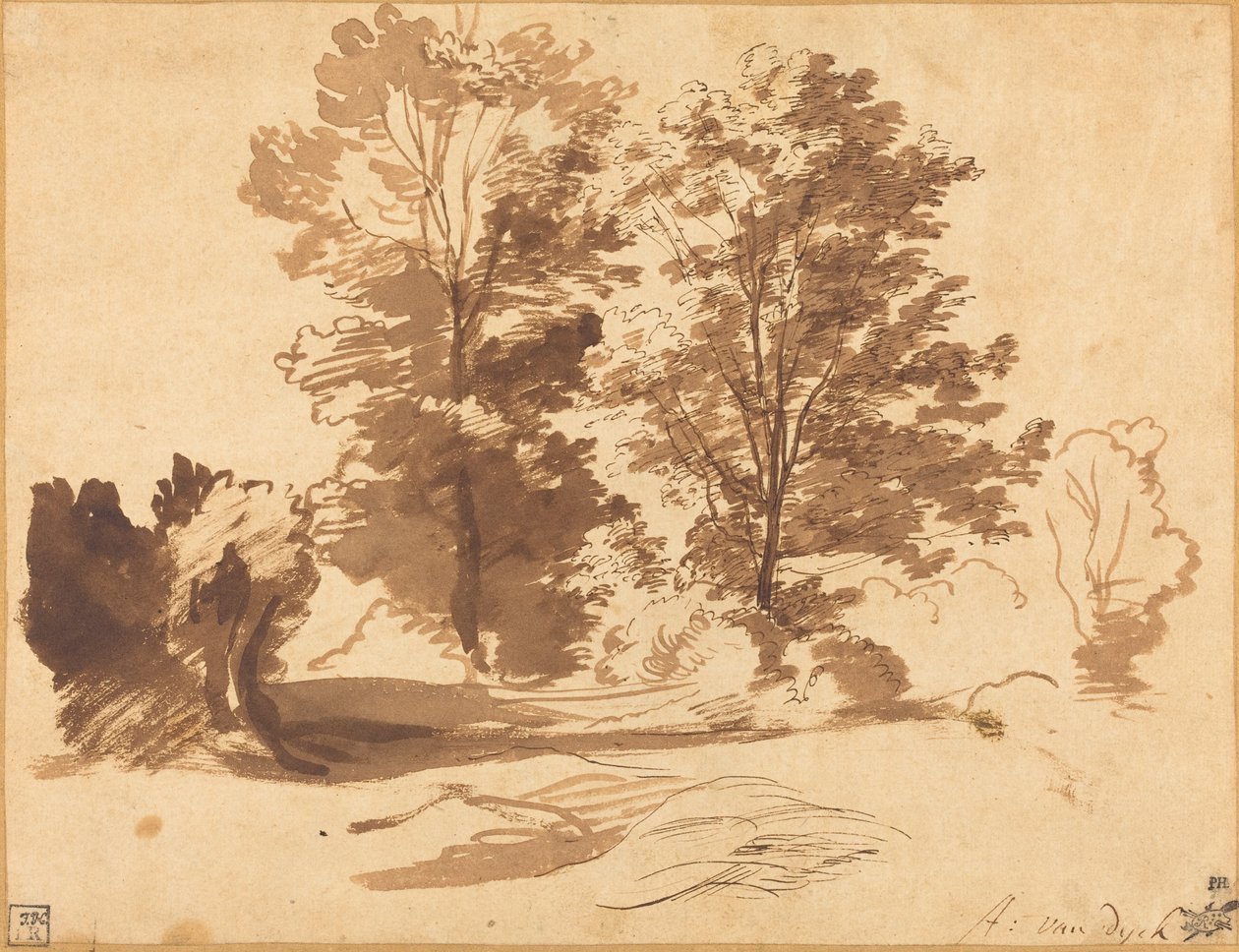 Egy fa széle alkotó: Sir Anthony van Dyck