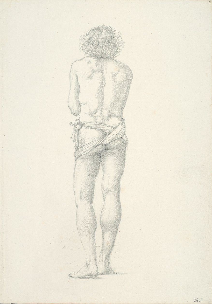 Hátulnézet álló férfi akt alkotó: Sir Edward Burne Jones