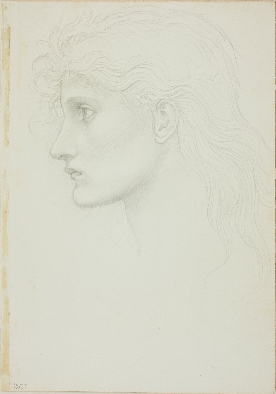 Balra néző lány vezetője alkotó: Sir Edward Burne Jones