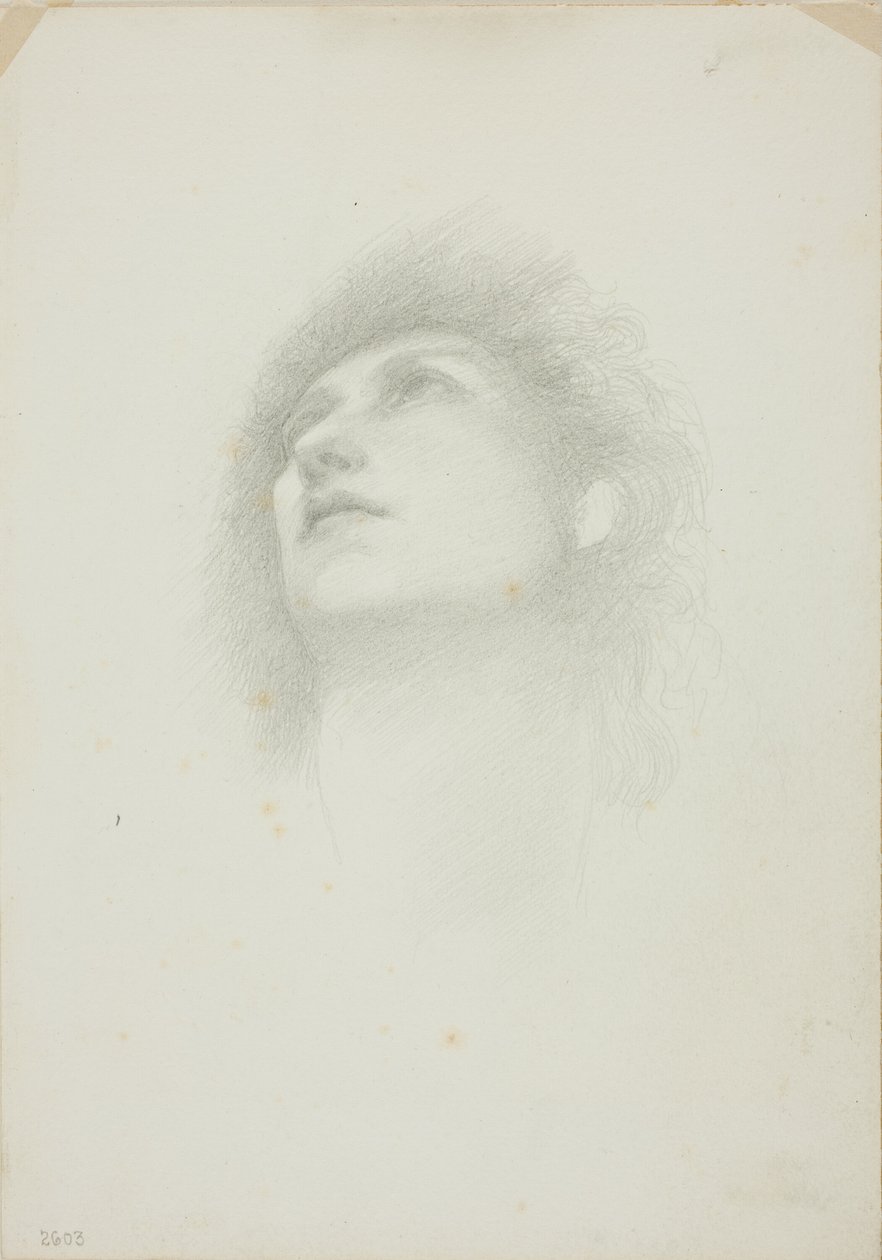 Felfordított arcú nő feje alkotó: Sir Edward Burne Jones