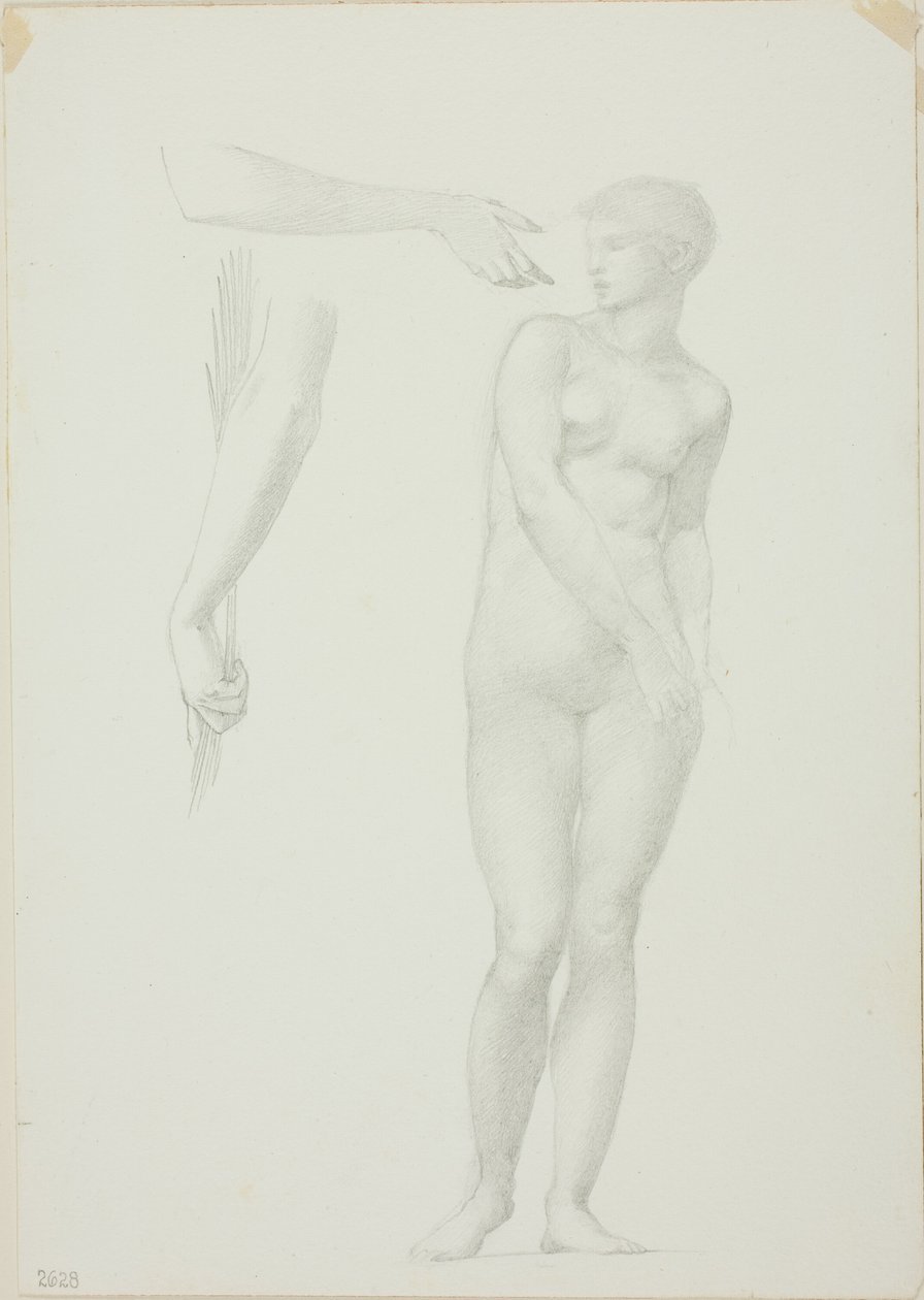 Álló női akt és vázlatok a fegyverekről alkotó: Sir Edward Burne Jones