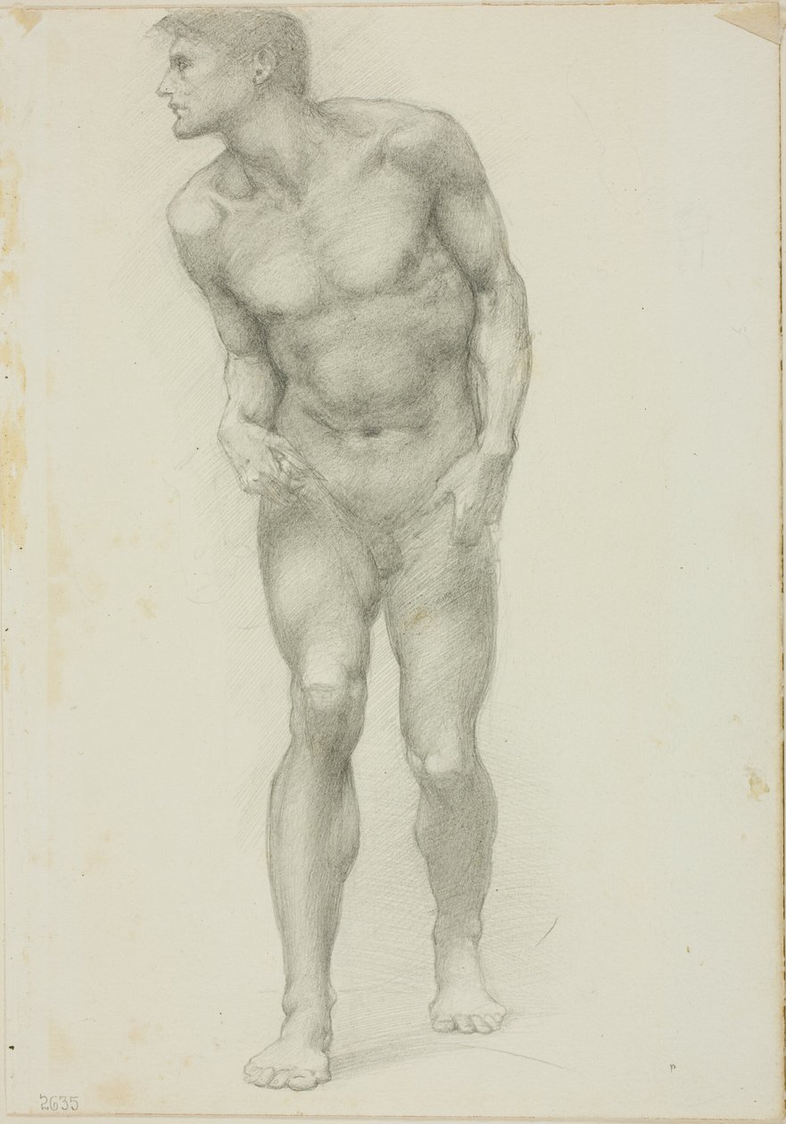 Álló meztelen férfi arccal a profilban alkotó: Sir Edward Burne Jones