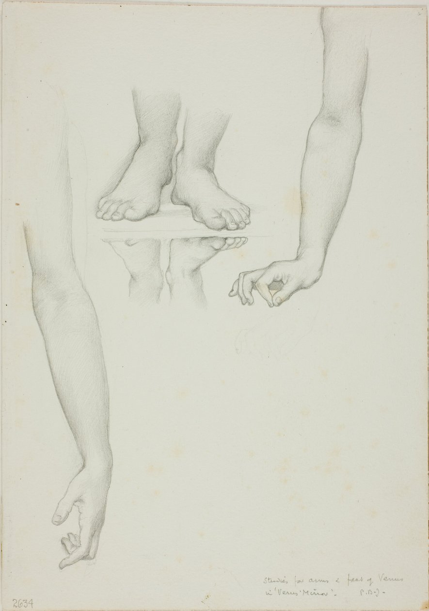 Tanulmány a Vénusz tükréhez: Vénusz karjai és lábai alkotó: Sir Edward Burne Jones