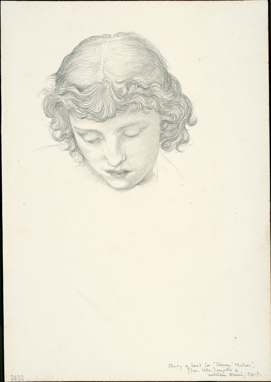 Tanulmány a Vénusz tükréhez: Fej alkotó: Sir Edward Burne Jones