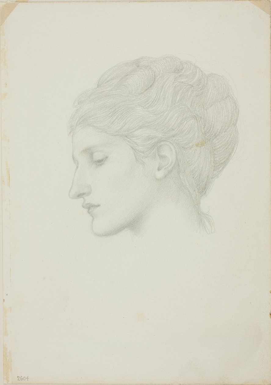 Női fej profilban balra alkotó: Sir Edward Burne Jones