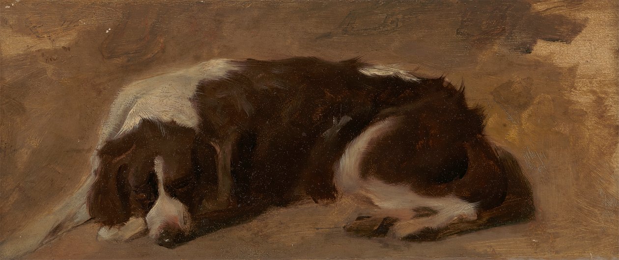 Egy spániel fekve alkotó: Sir Edwin Henry Landseer