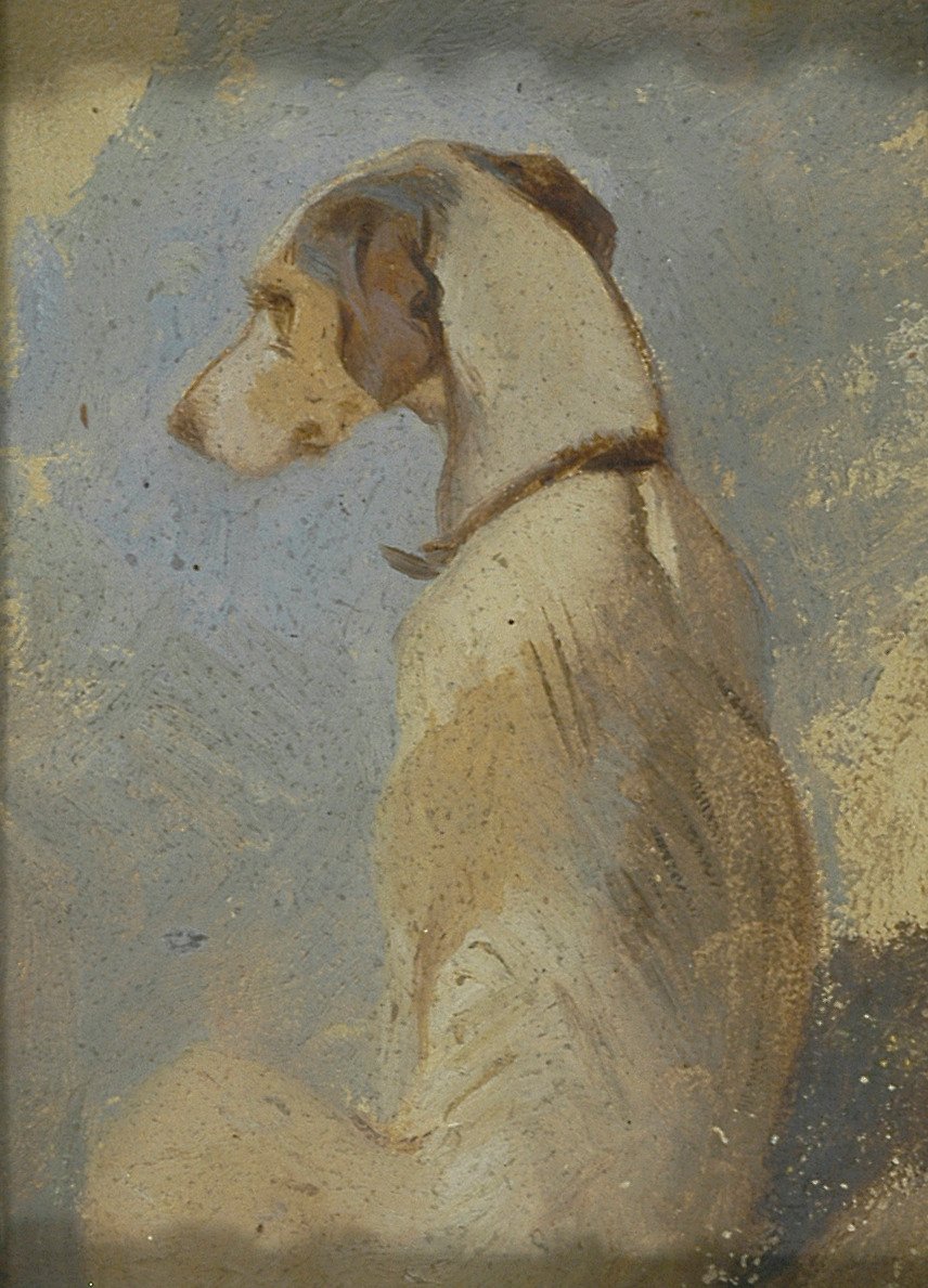 Tanulmány egy agárról alkotó: Sir Edwin Henry Landseer