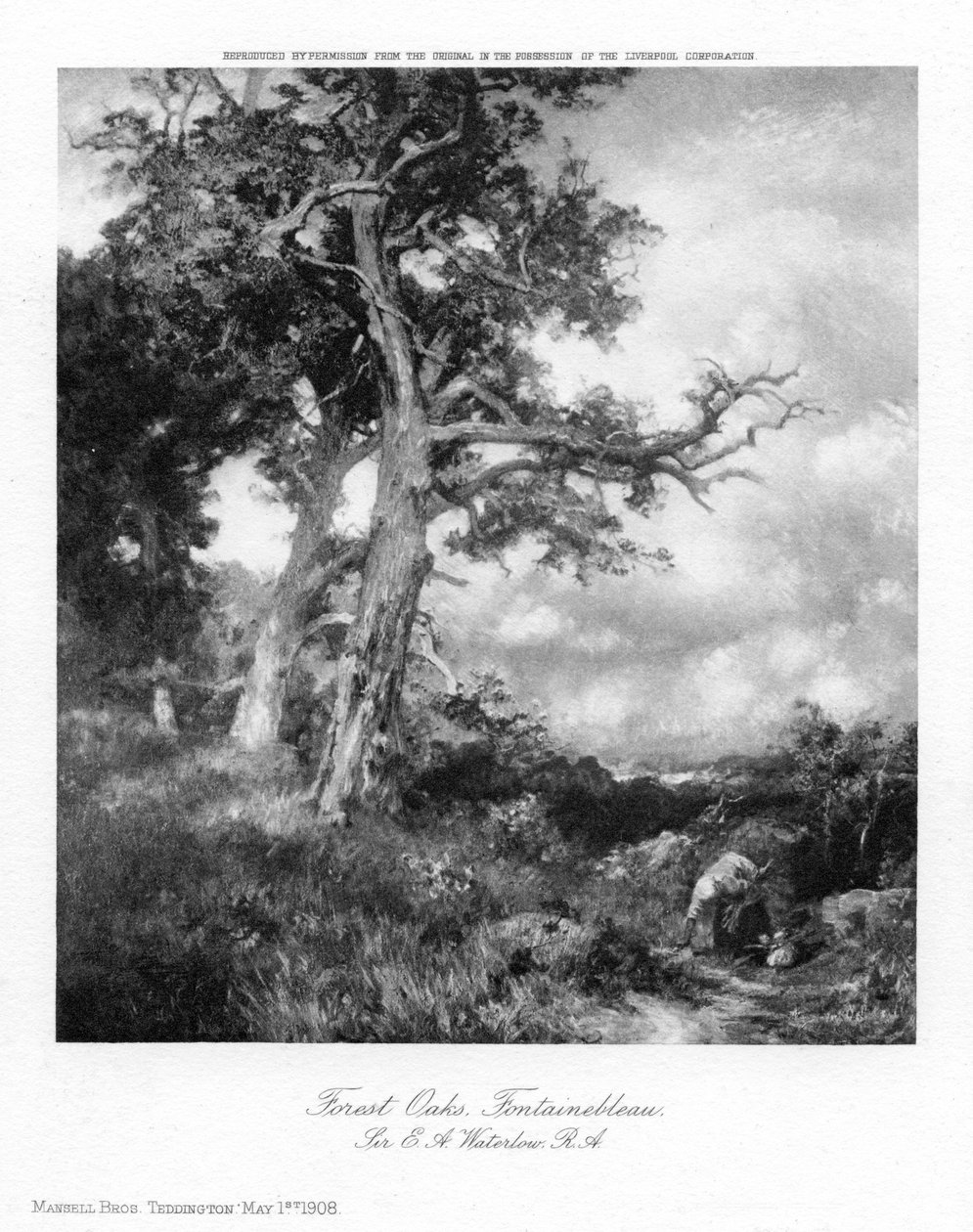 Forest Oaks, Fontainebleau, 1908. alkotó: Sir Ernest Albert Waterlow