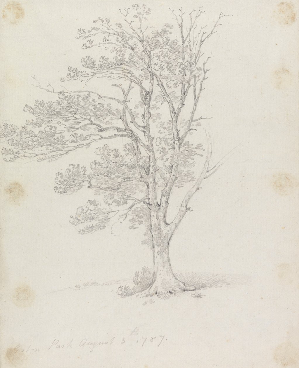 Fa az Easton Parkban alkotó: Sir George Howland Beaumont seventh Baronet