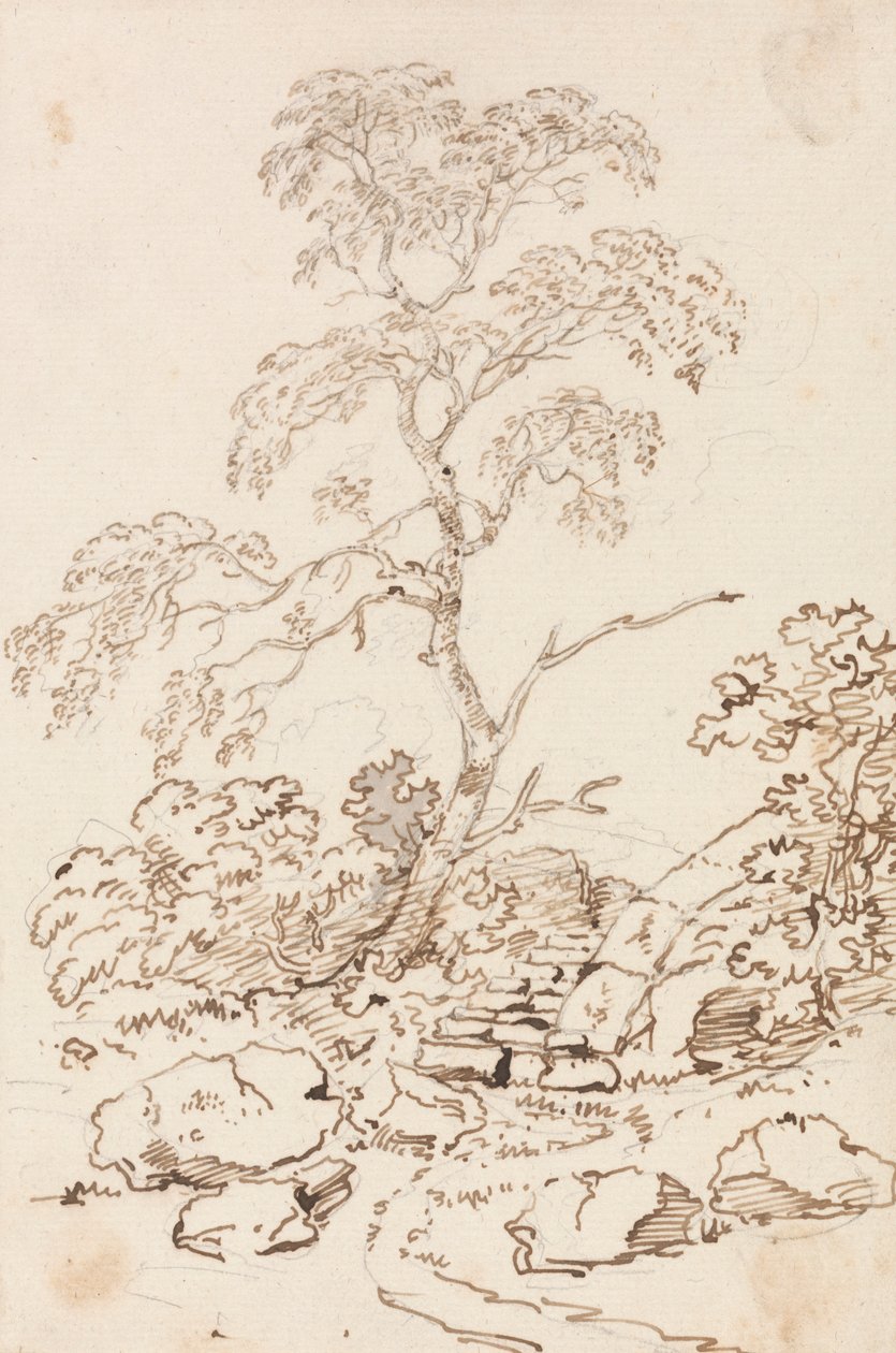 Fa lépésenként alkotó: Sir George Howland Beaumont seventh Baronet