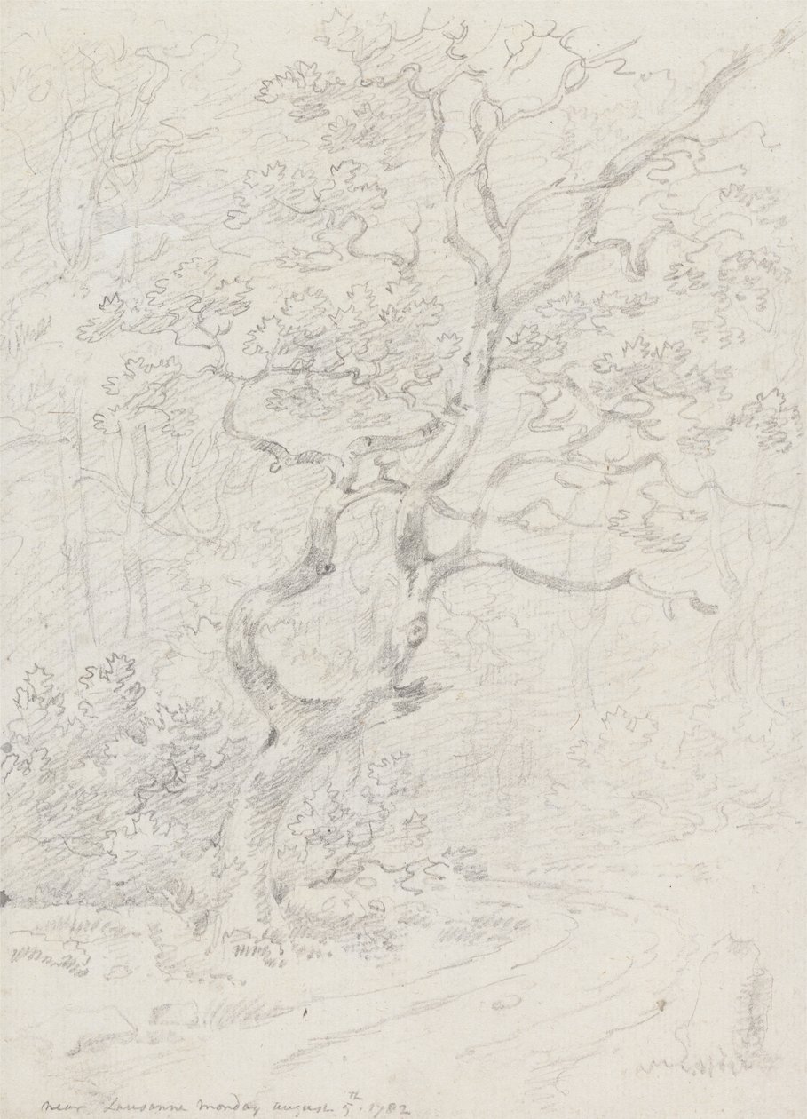 Fák, Lausanne közelében alkotó: Sir George Howland Beaumont seventh Baronet