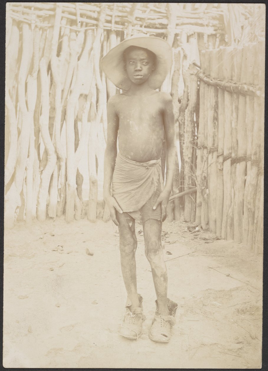 A civilizáció hajnala alkotó: Sir Henry Harry Hamilton Johnston