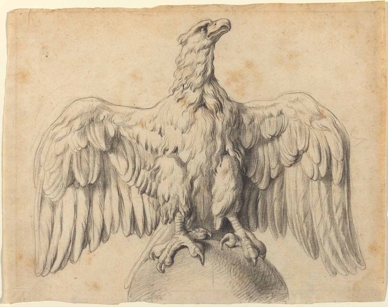 A Capitoliumi sas alkotó: Sir Peter Paul Rubens