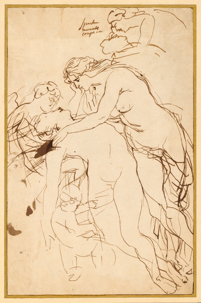 Adoniszt siránkozó Vénusz alkotó: Sir Peter Paul Rubens