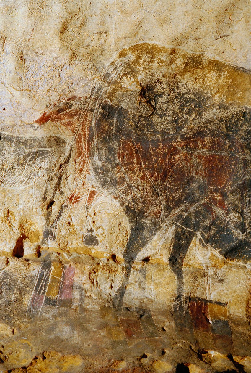 Részlet lófejeket ábrázoló metszett festményről, Lascaux. alkotó: Sisse Brimberg