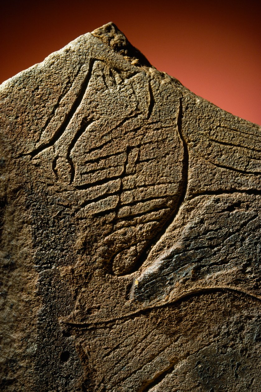 Egy őskori mészkő rejtekhelyen talált emberi profil elegáns metszete. alkotó: Sisse Brimberg