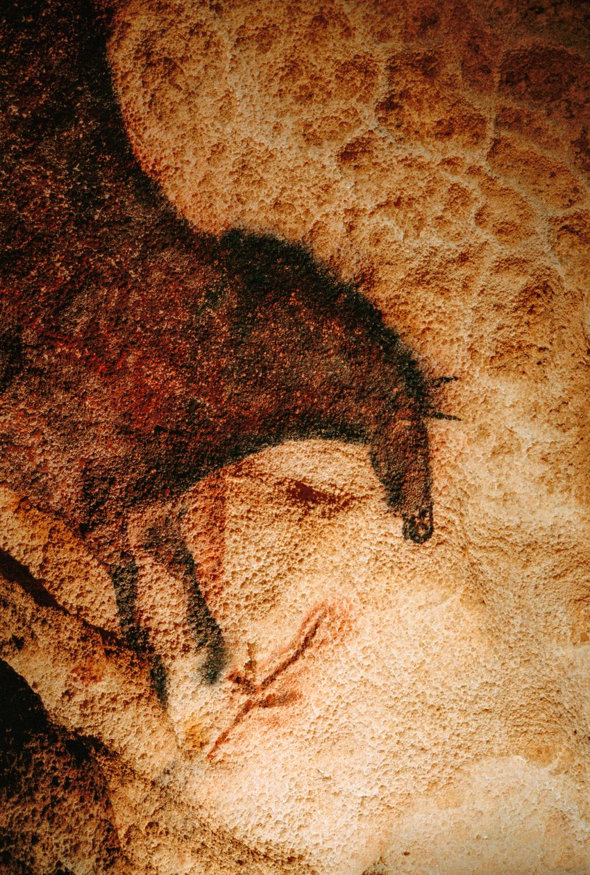 Galoppozó ló a Lascaux-barlangban, Franciaország. alkotó: Sisse Brimberg