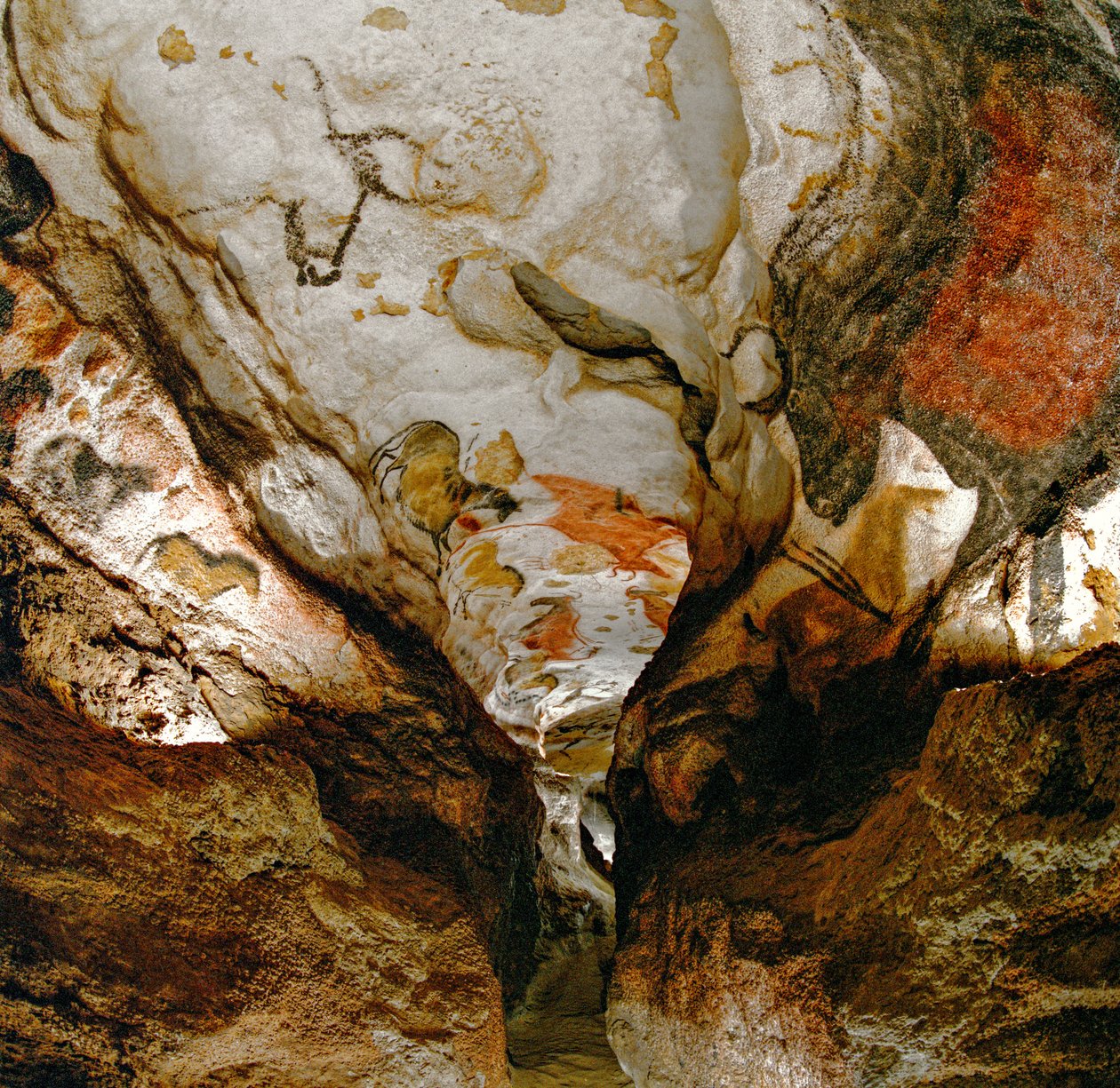 A tengelyes galéria a kihalt urochákat ábrázolja a franciaországi Lascaux-barlang mennyezetén. alkotó: Sisse Brimberg