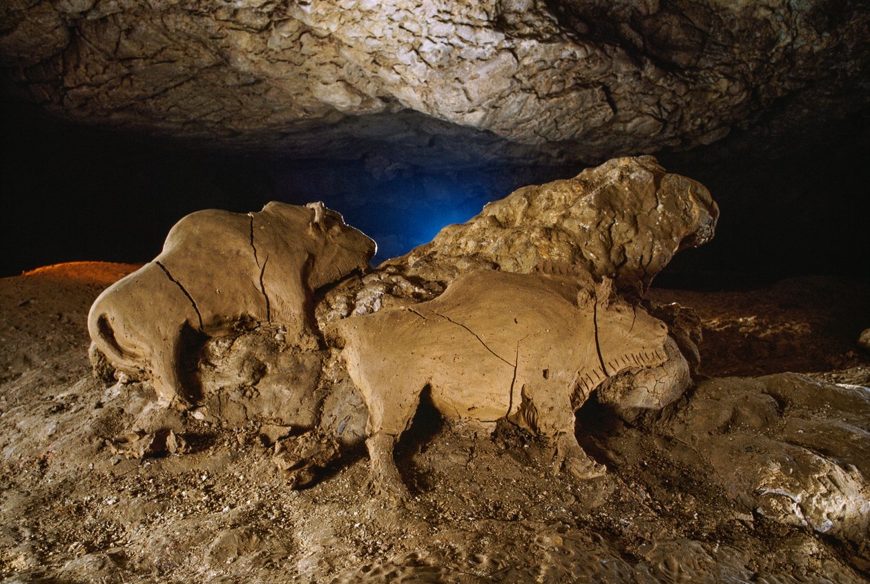 A Le Tuc dâ™Audoubert-i Clay Bisons alkotó: Sisse Brimberg