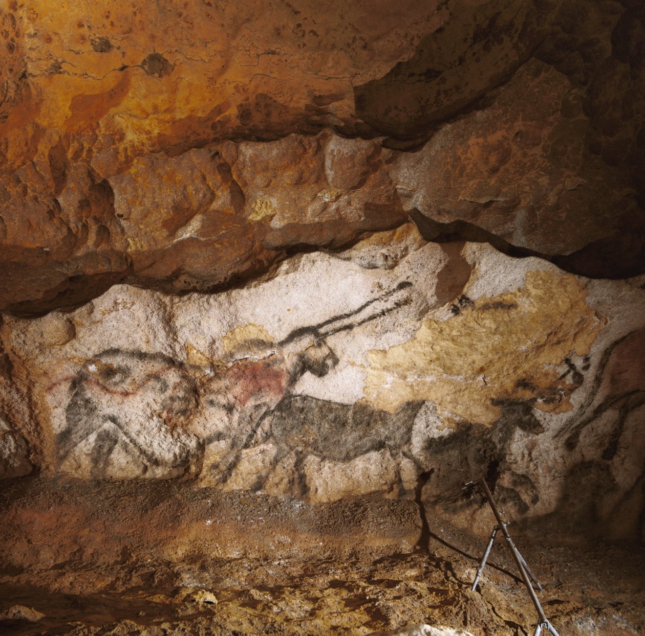A Lascaux-i mítikus egyszarvú több mint 17 000 évvel ezelőtt festett fehér kalcit vonalán... alkotó: Sisse Brimberg