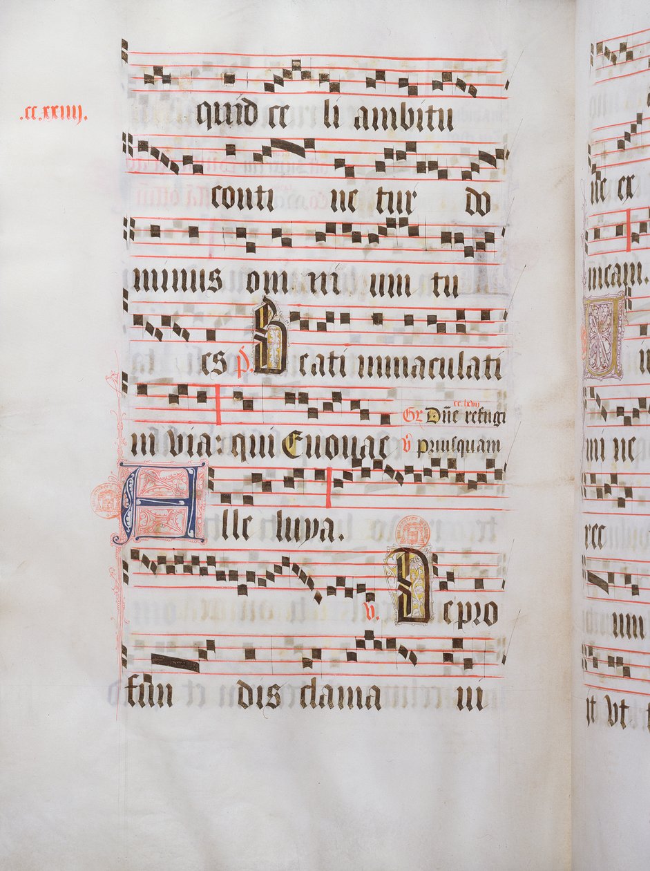Ms 432 Temporal, a Bruges-i Karmeliták Kongregációjának nővérei által használt, Margarita Bruynewe nővér írta, 1505 alkotó: Sister Cornelia Wulfekkercke