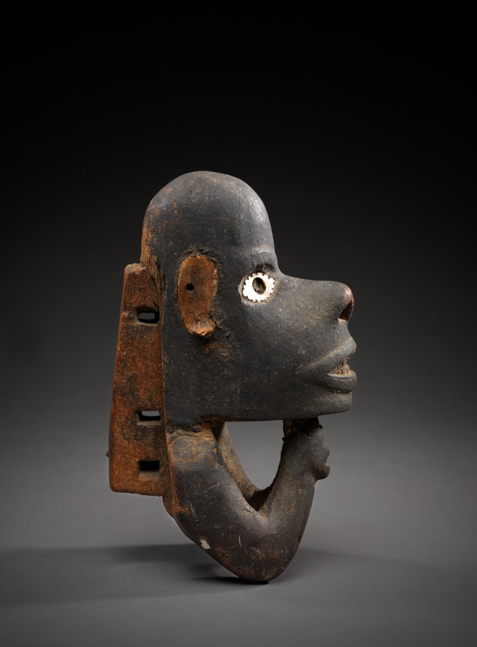 Kenu orrfej, nguzu nguzu, Új-Georgia, Salamon-szigetek, 1800-as évek eleje-közepe (fa és kagyló) alkotó: Solomon Islander