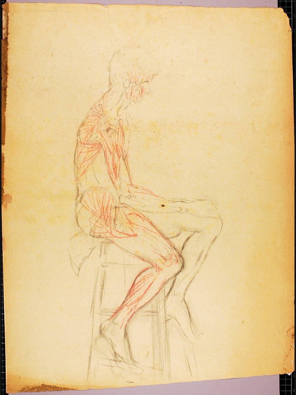 Fiú alkotó: Solon H. Borglum