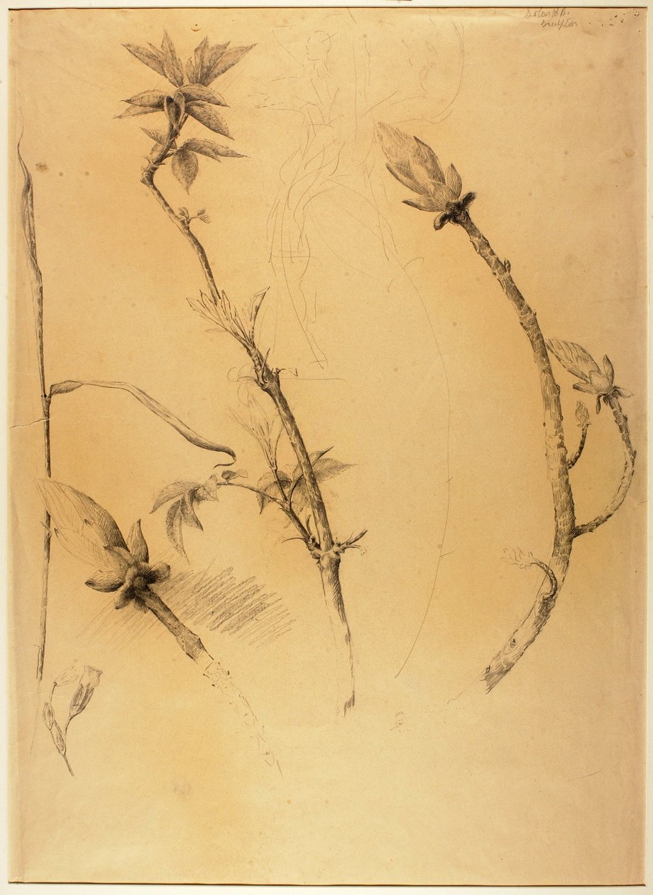 Ágazatok alkotó: Solon H. Borglum