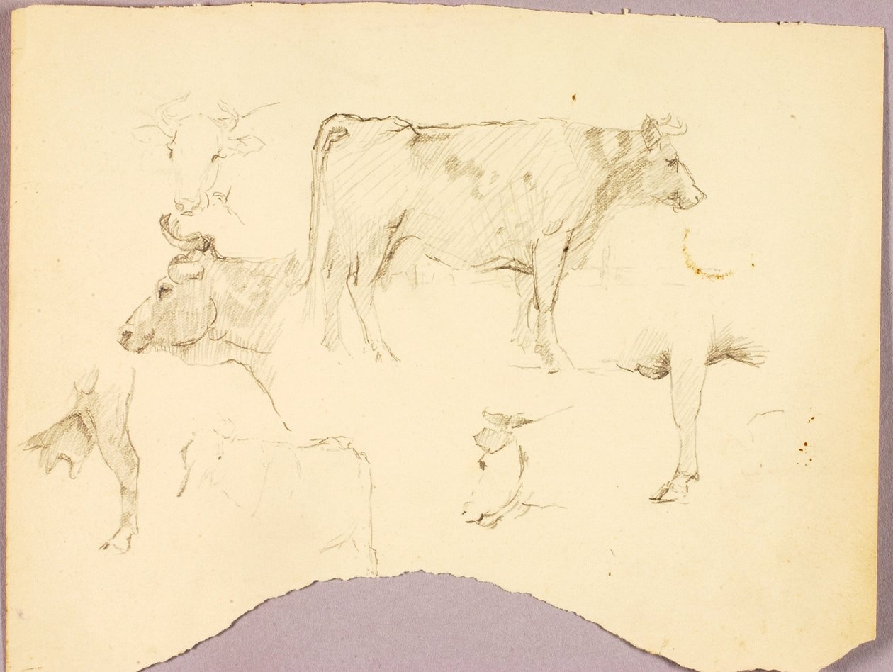 Bulls alkotó: Solon H. Borglum