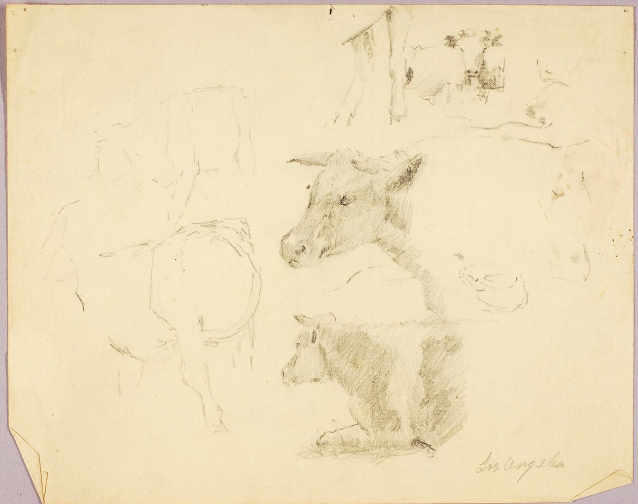 Tehenek alkotó: Solon H. Borglum