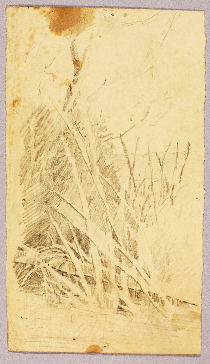 Lombozat alkotó: Solon H. Borglum