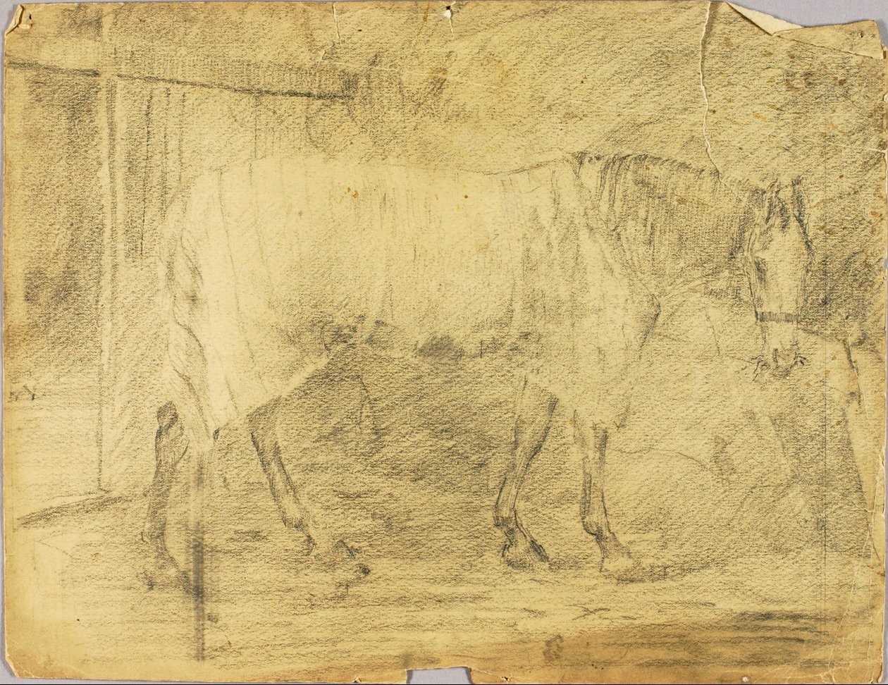 Ló alkotó: Solon H. Borglum
