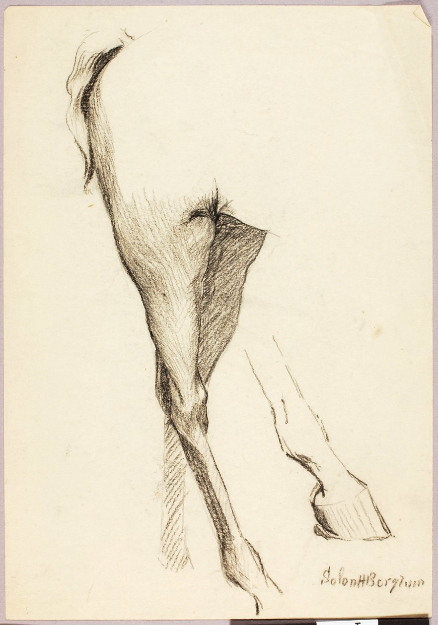 Ló tanulmány alkotó: Solon H. Borglum