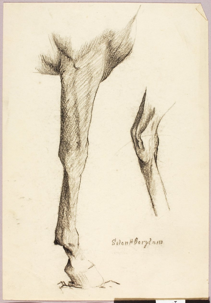 Ló tanulmány alkotó: Solon H. Borglum