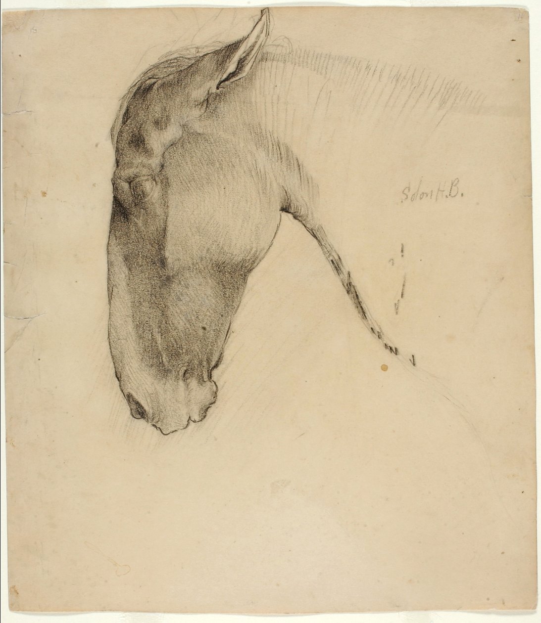 Lófej alkotó: Solon H. Borglum