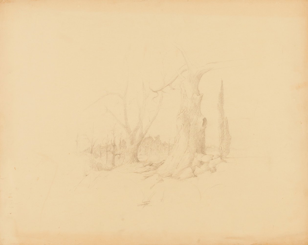 Tájkép alkotó: Solon H. Borglum