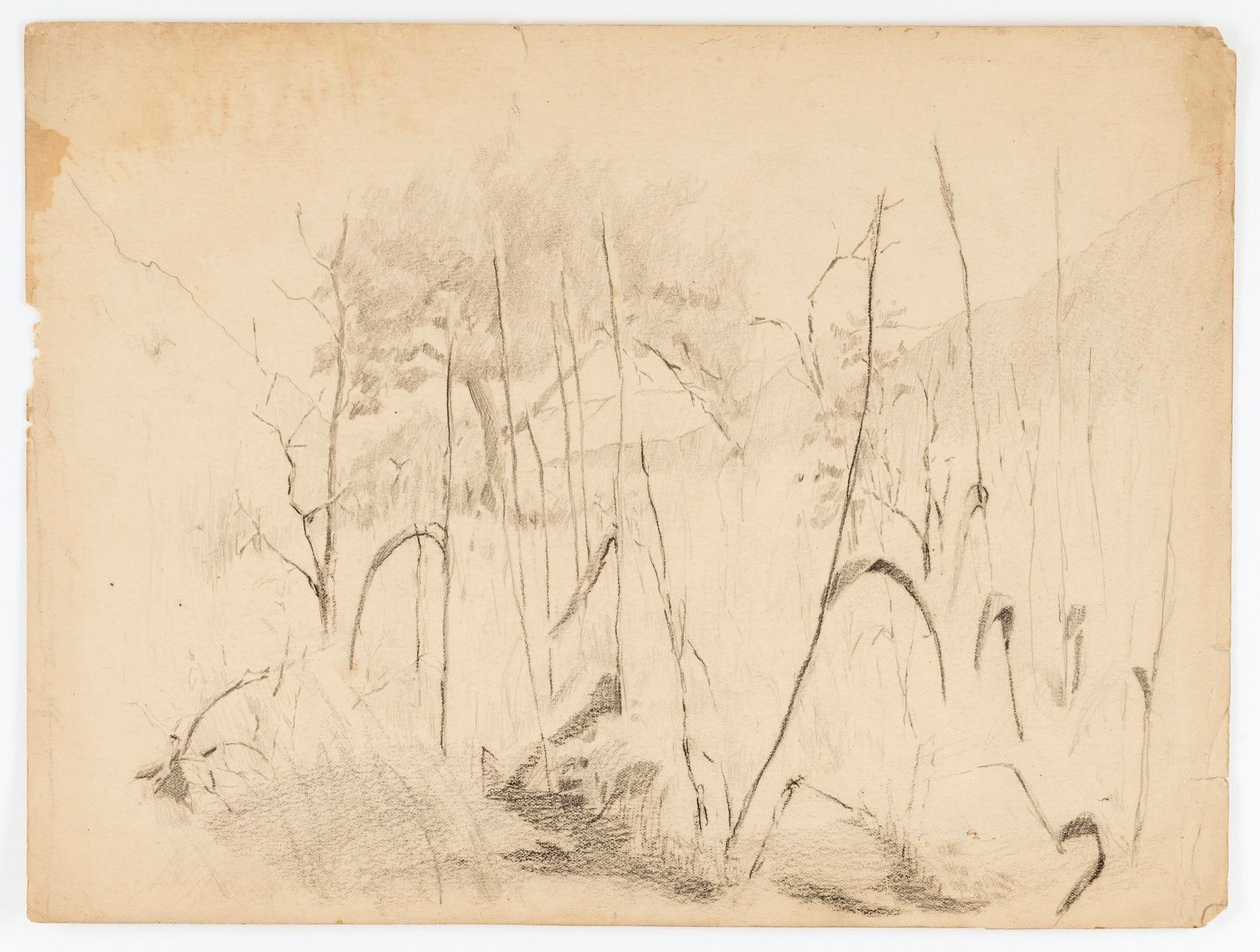 Tájkép alkotó: Solon H. Borglum