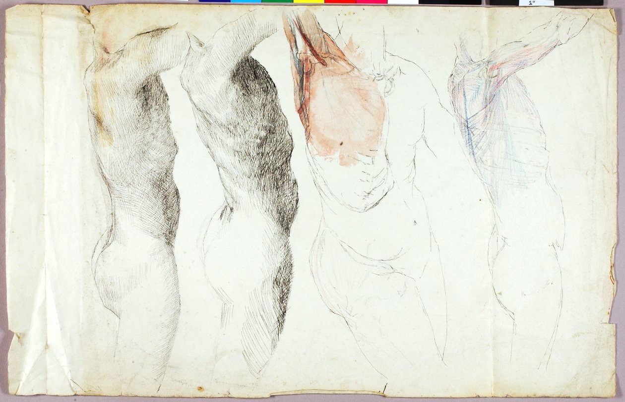 Akt tanulmányok alkotó: Solon H. Borglum