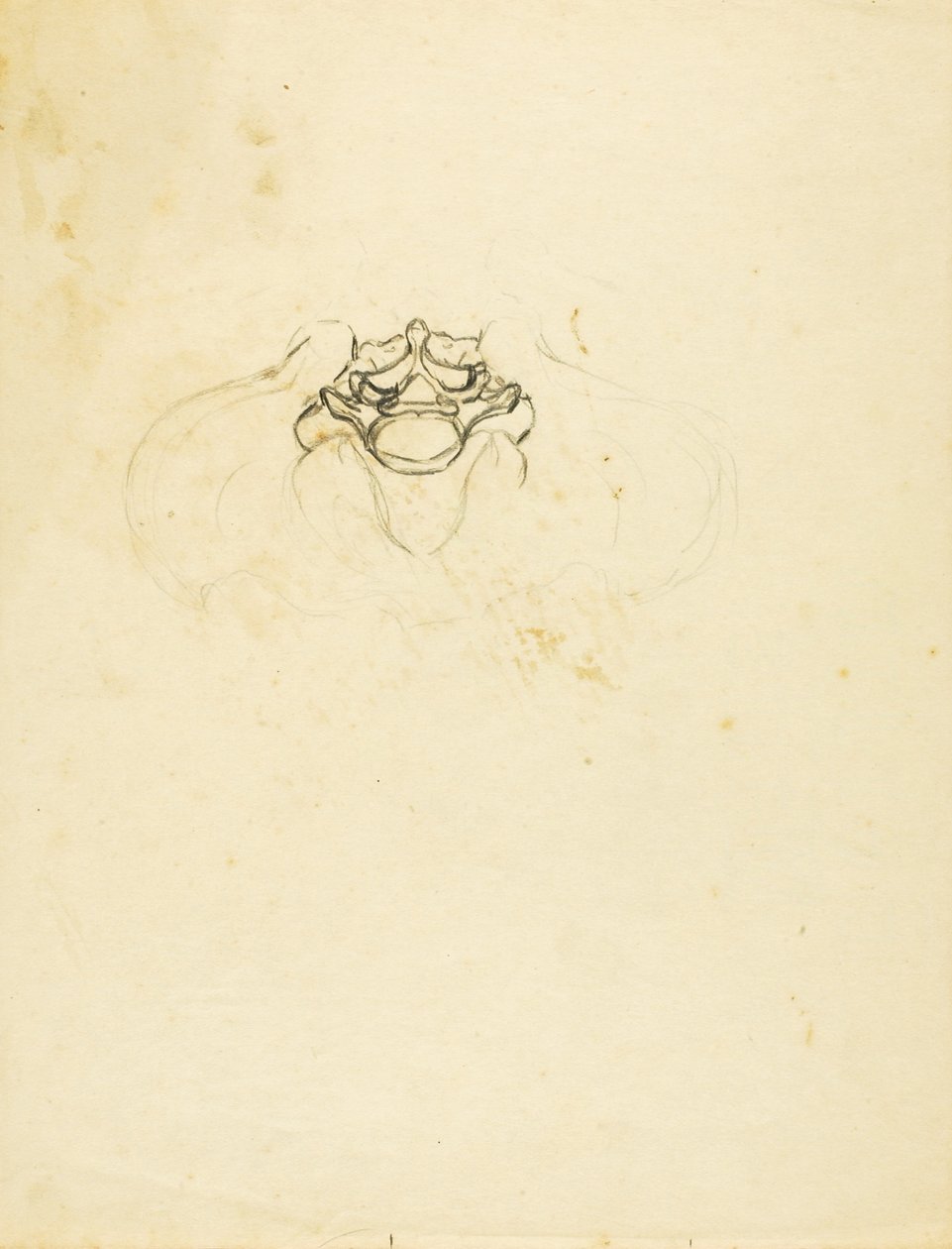 Medence alkotó: Solon H. Borglum