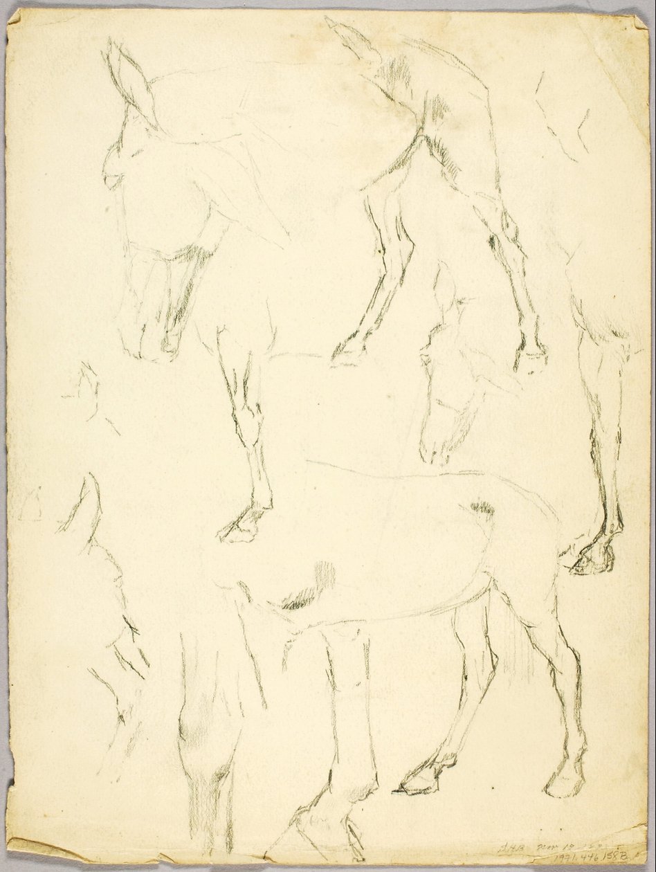Portré tanulmány, Ló tanulmány alkotó: Solon H. Borglum